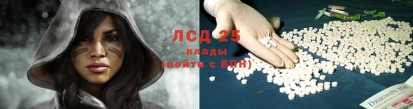 винт Балахна