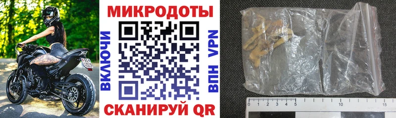 Псилоцибиновые грибы Cubensis Белокуриха