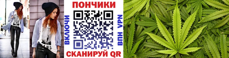 купить наркоту  Белокуриха  Бошки марихуана план 